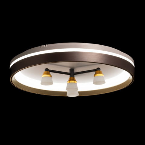 Потолочный светодиодный светильник De City Норден 660014701