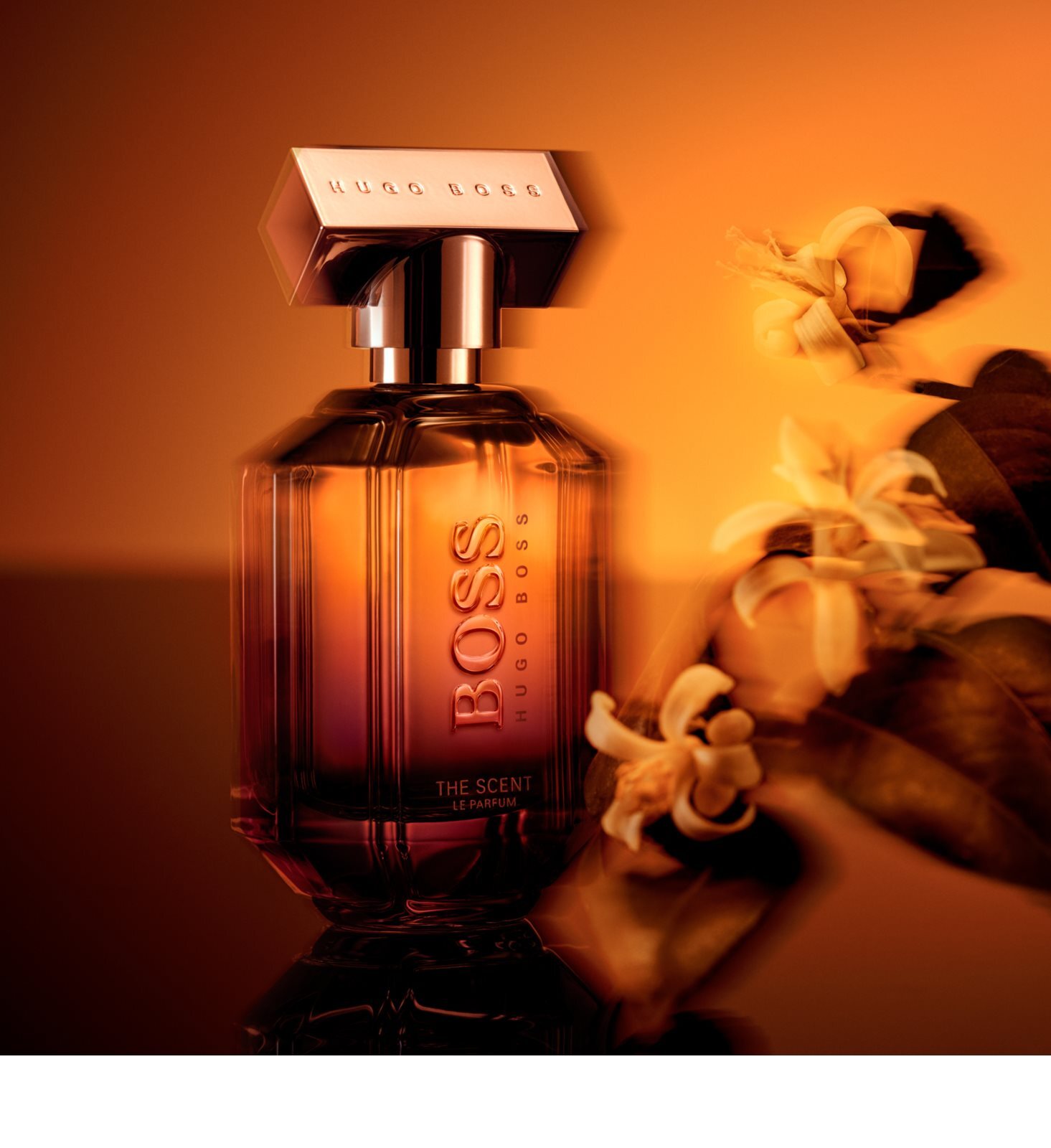 Le scent hugo boss. Hugo Boss the Scent le Parfum. Hugo Boss the Scent le Parfum 100 ml. Boss Hugo Boss the Scent. Boss Hugo Boss the Scent le Parfum.