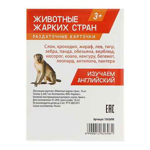 Обучающие карточки 