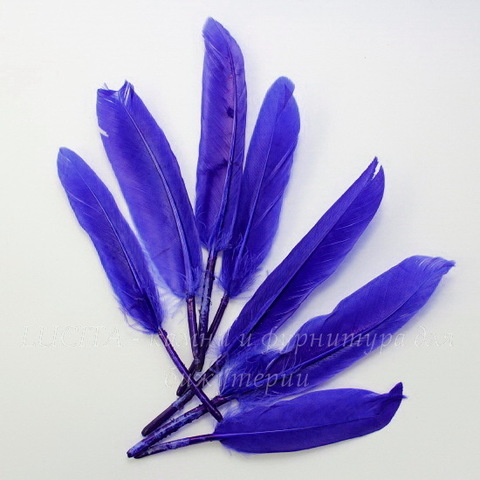 Перо декоративное (цвет - синий) 10-15 см , 10 шт