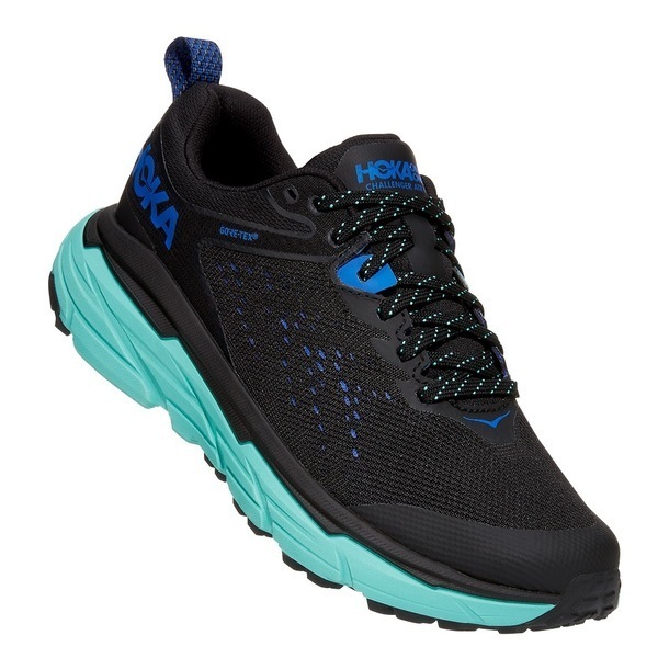 Кроссовки женские HOKA CHALLENGER ATR 6 GTX | HOKA.RU