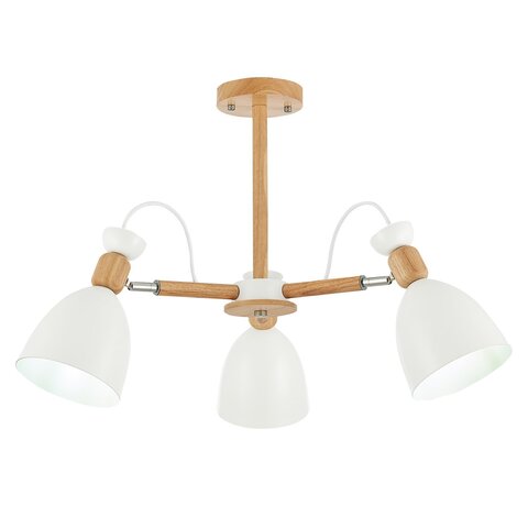 Светильник потолочный Evoluce Balcamo SLE103802-03