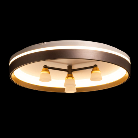 Потолочный светодиодный светильник De City Норден 660014701