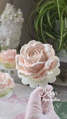 Прозрачный набор кондитерских гвоздиков 