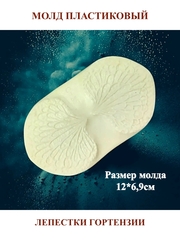 Молд 