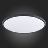 Светильник настенно-потолочный ST Luce ST601.442.48