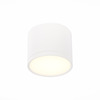 Светильник потолочный ST Luce ST113.532.09