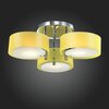 Люстра потолочная Evoluce Foresta SL483.092.03