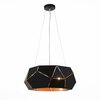 Люстра подвесная ST Luce Enigma SL258.403.06
