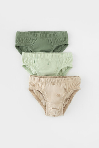 трусы/ уп  для мальчика  К 1966-3уп/папоротник,морская пена,слонята