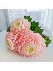 Молды пластиковые НХ-1 - НХ-5,НГ-1 