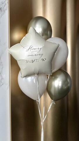 Шары к 23 февраля №42