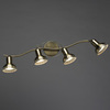 Спот Arte Lamp Focus A5219PL-4AB