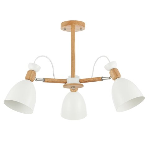 Светильник потолочный Evoluce Balcamo SLE103802-03