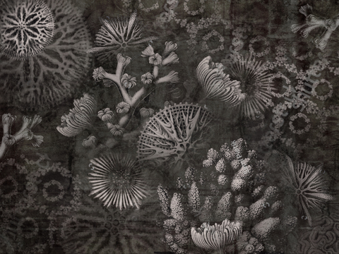 Коллекция WAVES