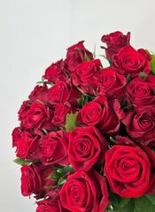 Букет «Алый Виват» 25 шт.