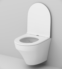 Унитаз подвесной безободковый FlashClean, AM.PM INSPIRE - C501700WH