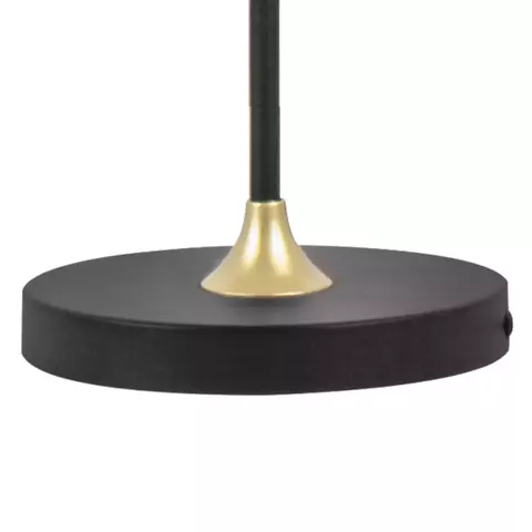 Торшер светодиодный Lightstar Acrile 738773