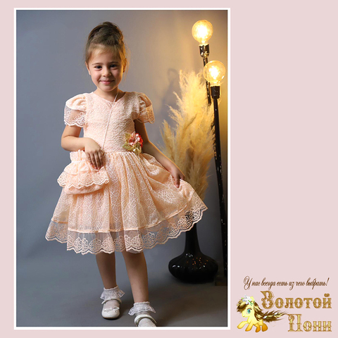 Платье нарядное д (5-8) 251105-R1049
