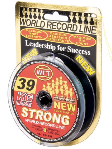 Леска плетёная WFT KG STRONG Multicolor 300 м, 0.25 мм