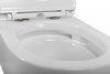 Унитаз подвесной безободковый Cezares STYLUS-TOR CZR-6601-TH-TOR