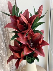 Молд пластиковый Набор 