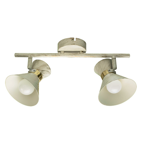 Спот Arte Lamp Baltimore A1406AP-2WG