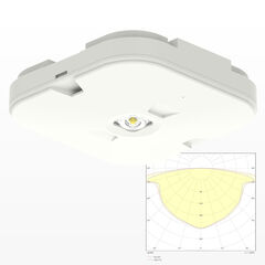 Потолочные светильники аварийного освещения Moncato EF803 LED SO IP54