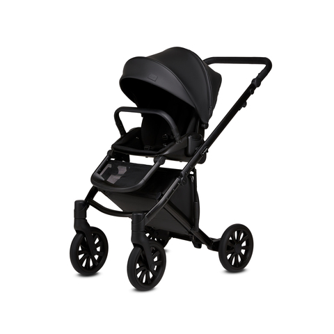 Коляска Anex e/type 2в1 Noir CrN(01)