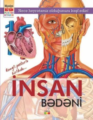 İnsan bədəni