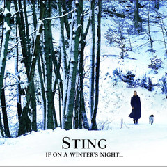 Sting / If On A Winter's Night… (CD)