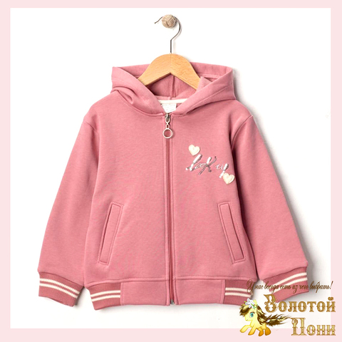 Толстовка начес д (3-6) 251105-R1054