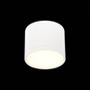 Светильник потолочный ST Luce ST113.532.09