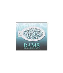Трафарет BAMS 1035