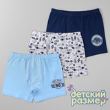 Боксеры
