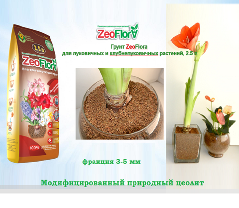 ZEOFLORA Влагорегулирующий грунт для луковичных растений, 2,5 л