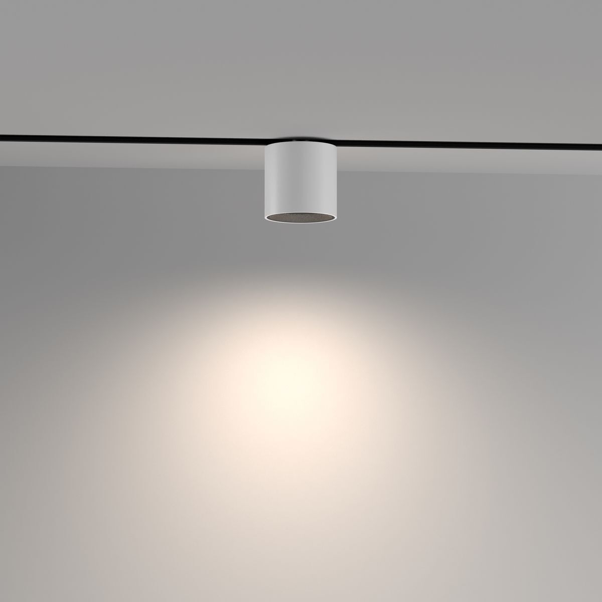 Трековый светодиодный светильник Maytoni Technical Exility Alfa S TR132-4-7W-DS-W