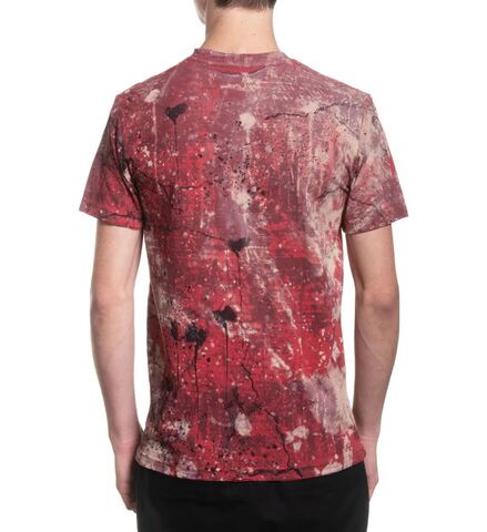 Affliction | Футболка мужская Lone Crow Tee A28039 сзади