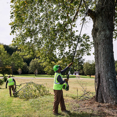 Высоторез-сучкорез Greenworks PS102T 82V (25 см) телескопический аккумуляторный, без АКБ и ЗУ