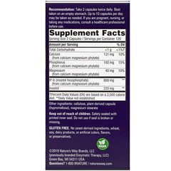 Nature's Way, Cell Forté IP-6 и инозитол, 240 веганских капсул