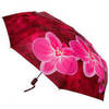 Зонт складной Barbarina 2302 Orchidea