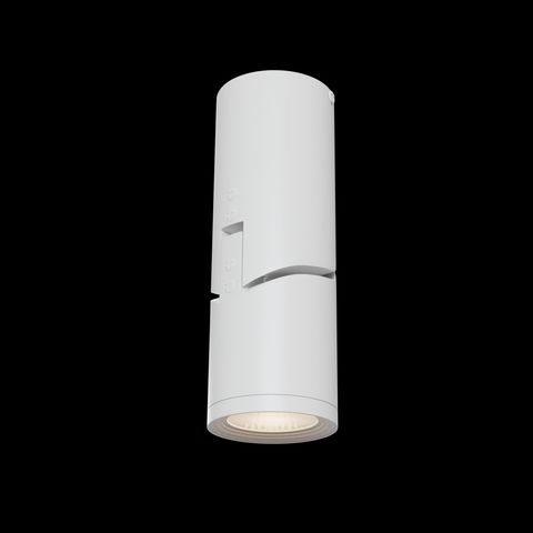 Потолочный светильник Technical Tube C019CW-01W4K