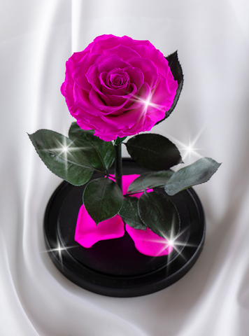 Роза в колбе премиум хит ярко- розовая
