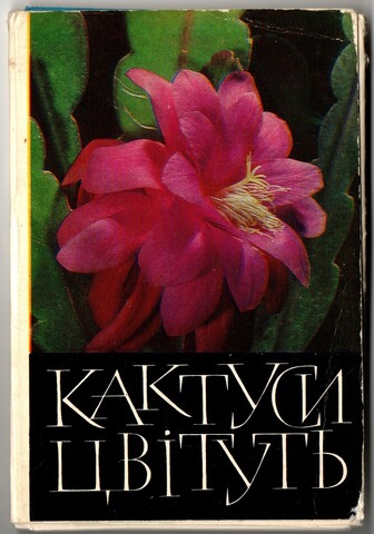 Набор из 16 открыток "Кактусы цветут" 1978 год УРСР