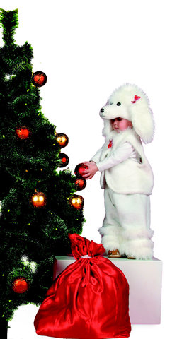 Маленький Пудель