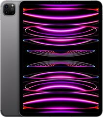 Планшет Apple iPad Pro 11 (2022) 256 ГБ Wi-Fi + Cellular Cерый космос | Space Gray
