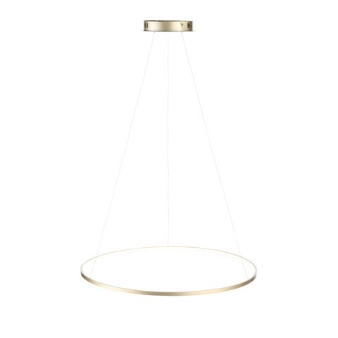 Светильник подвесной ST Luce Erto SL904.213.01