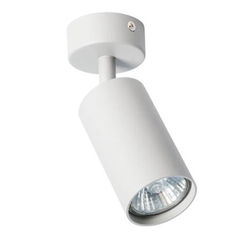 Накладной светильник Arte Lamp AQUARIUS A3216PL-1GY