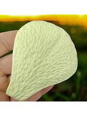 Молды пластиковые+вайнер силиконовый Набор 