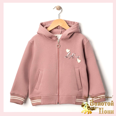 Толстовка начес д (3-6) 251105-R1055